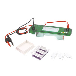 Horizontal Electrophoresis System LHES-A10