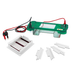 Horizontal Electrophoresis System LHES-A11