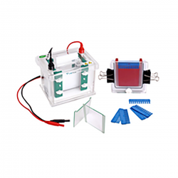 Vertical Electrophoresis System LVES-A12